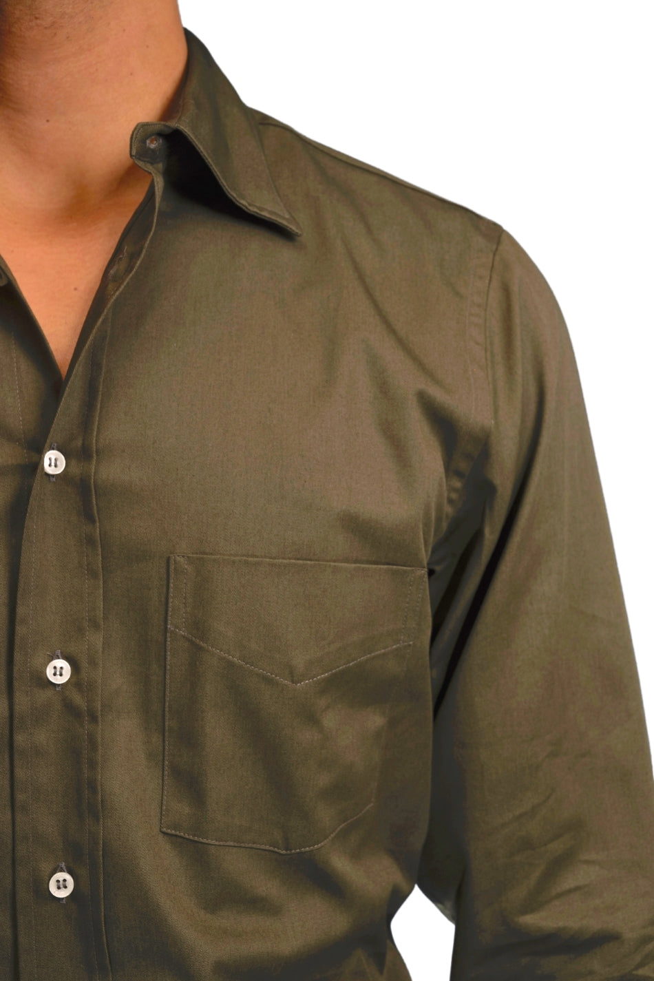"DAMBO" - CASUAL SHIRT COLLEGE STYLE IN COTTON TWILL